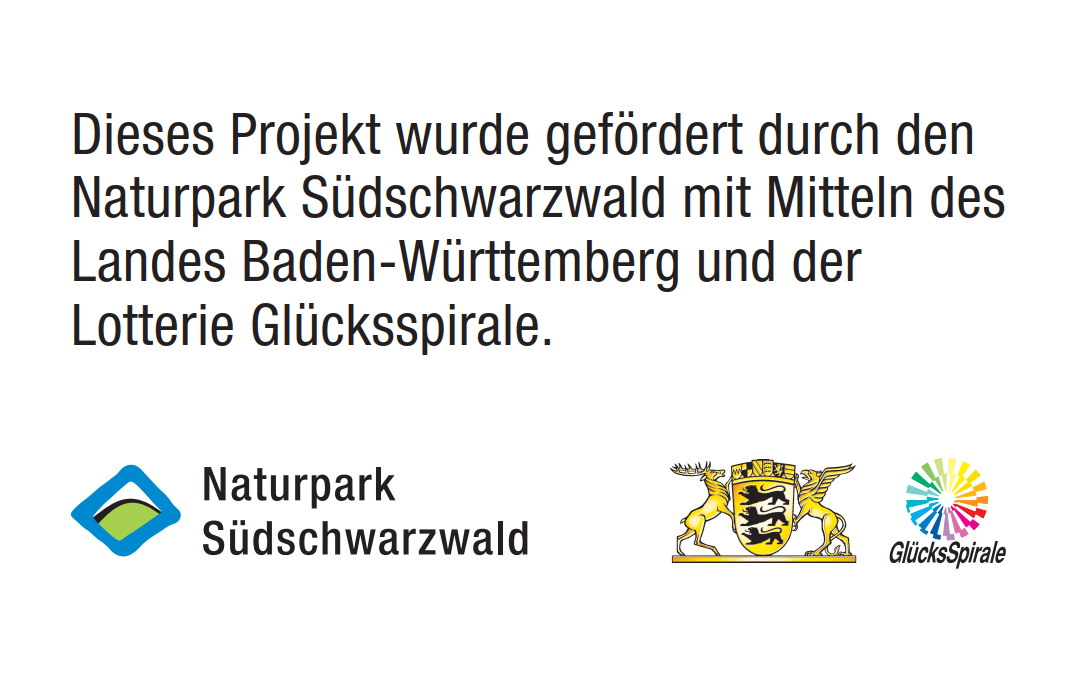 Frderhinweis Projekt Kulturforen