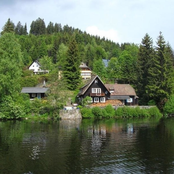 Blick auf den Titisee  A. Edlefsen