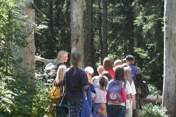 Fhrungsangebote im Naturschutzgebiet fr Gro und Klein  NAZ Sdschwarzwald