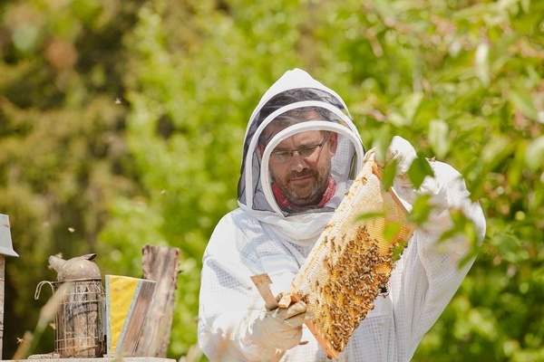 Bei den Bienen  Familie Barth