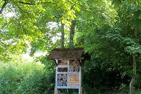 Das Insektenhotel  Grundschule Brigachtal