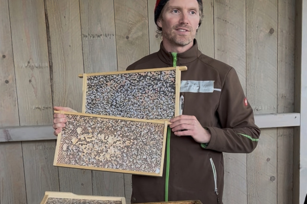 Der Lindenhof hat auch eine eigene Imkerei � Lindenhof Burkard GbR