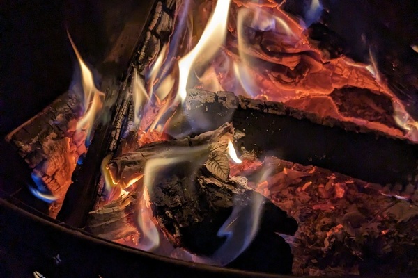 Feuer kann auch reinigende Wirkung haben  Naturpark Sdschwarzwald e. V.